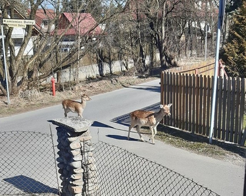 fot. Kinga Świerczek i Filip Kościelniak