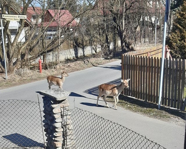 fot. Kinga Świerczek i Filip Kościelniak