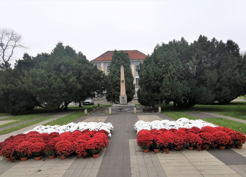 Biało-czerwone kwiatowe flagi pojawiły się w Wojkowicach i...