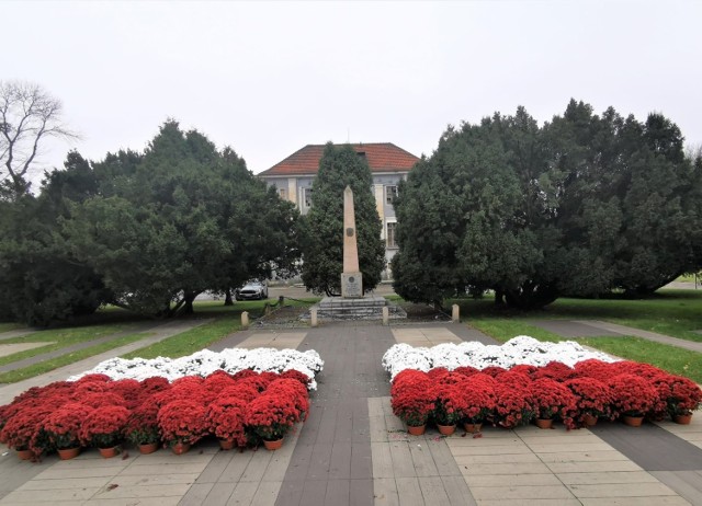 Biało-czerwone kwiatowe flagi pojawiły się w Wojkowicach i Czeladzi Zobacz kolejne zdjęcia/plansze. Przesuwaj zdjęcia w prawo - naciśnij strzałkę lub przycisk NASTĘPNE