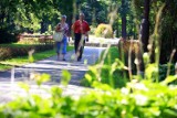 Koncerty promenadowe w Cieplicach: Wystąpi zespół Kumple