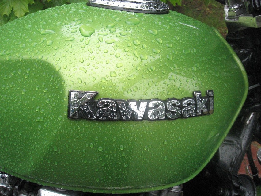 Września: Spotkanie motocyklistów Kawasaki Zephyr na Lipówce [ZDJĘCIA]