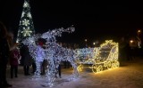 Iluminacje świąteczne w Pabianicach i okolicy. Jak miasta, miasteczka i wsie wystroiły się na święta ZDJĘCIA