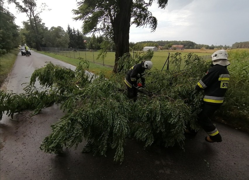 125 interwencji dotyczących usuwania skutków burzy- podtopień, wiatrołomów i uszkodzonych dachów