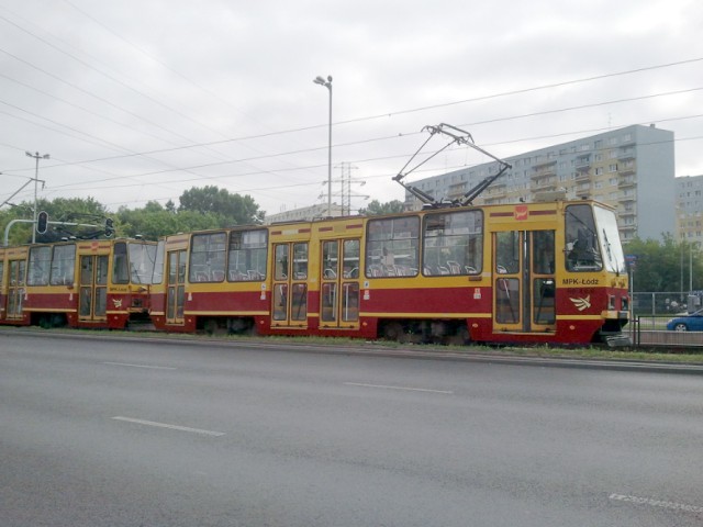 Według pasażerki tramwaju, motorniczy przejechał psa, choć mógł tego uniknąć