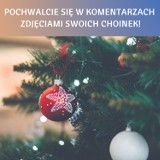 Wasze choinki! Zdjęcia świątecznych drzewek naszych Czytelników!