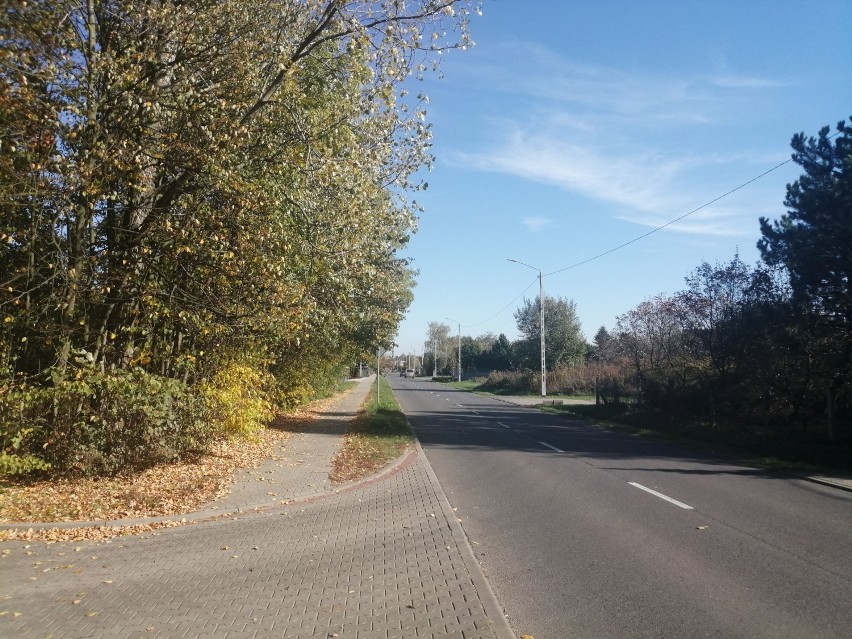 Powstanie ścieżka rowerowa przy drodze powiatowej z Wielunia do Turowa