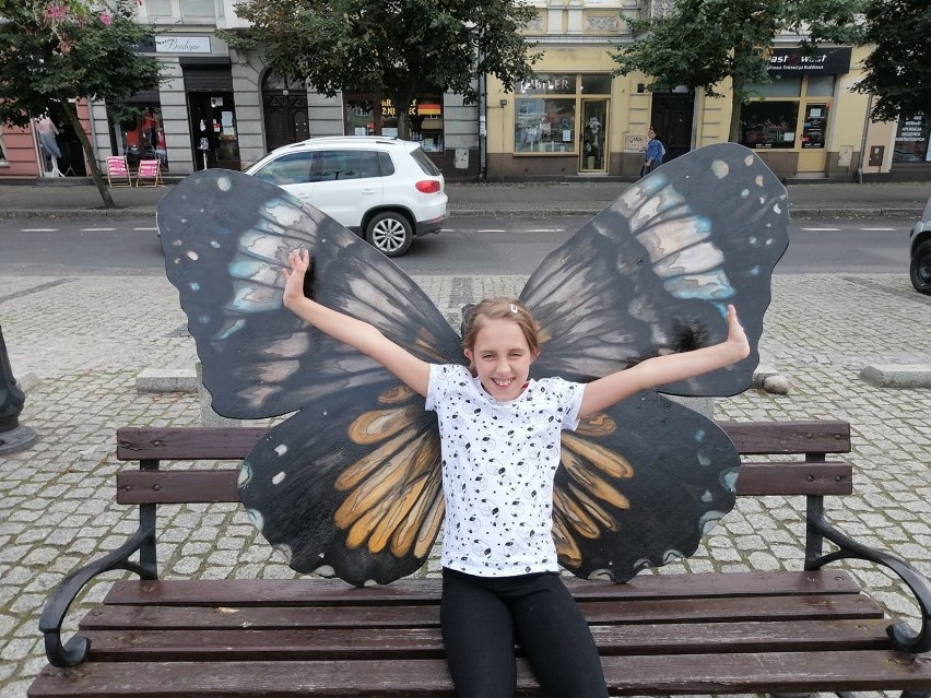 Kolorowe motyle na fotografiach mieszkańców Obornik