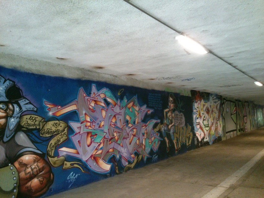 Poznańskie ozdobne graffiti zakryły brud i sypiące się tynki [Zdjęcia]