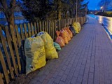Opłaty za gospodarowanie odpadami w powiecie rzeszowskim. Zobacz, jakie stawki obowiązują mieszkańców