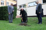 Szebnie. Posadzono jabłoń na cześć rodziny Ulmów