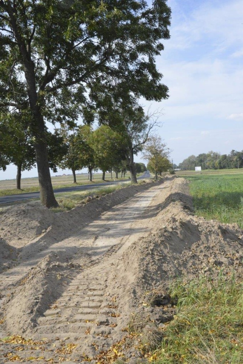 KOŚCIAN. Budowa ścieżki rowerowej z Racotu do Katarzynina oznacza wycięcie około 30 drzew [ZDJĘCIA] 