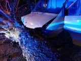 W Ustroniu Morskim drzewo spadło na jadący samochód. W powiecie uszkodzone dachy