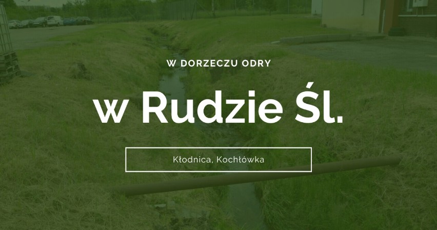 Wisła i Odra w woj.śląskim zmieniają się zanieczyszczony...