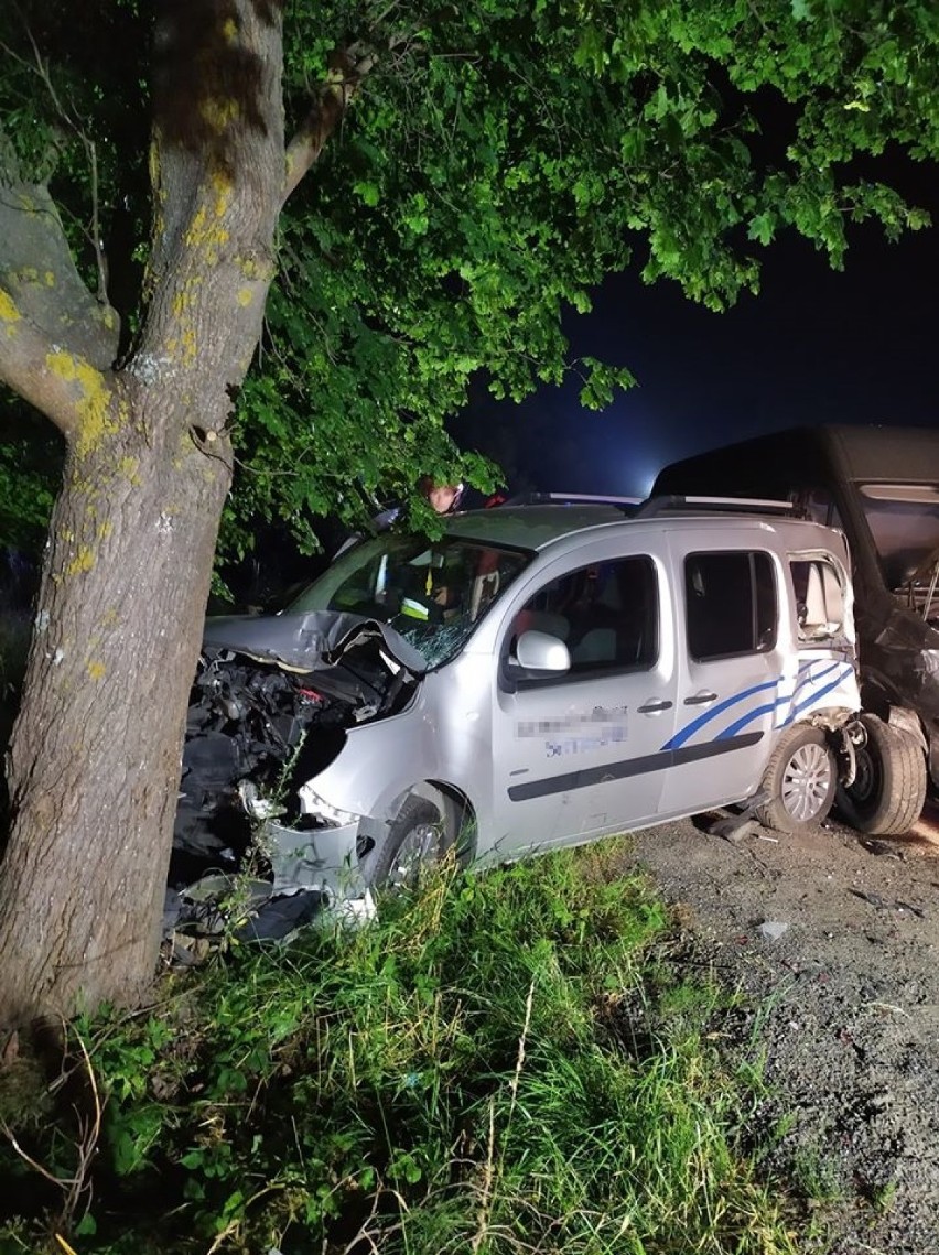 Gmina Kolbudy. Wypadek w Czapielsku. Zderzenie samochodu osobowego z dostawczym po wtargnięciu zwierzyny leśnej na drogę |ZDJĘCIA