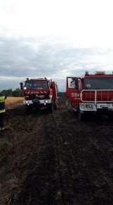 Gmina Masłowice: Pożar pola uprawnego w Przerębie. Spłonęły 4 ha zboża [ZDJĘCIA]