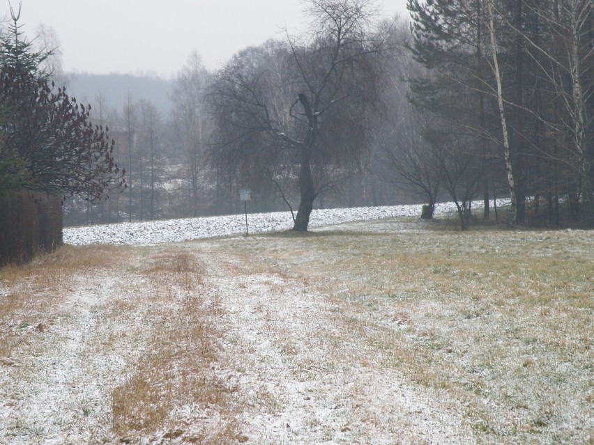 Zima [2014] w Mysłowicach