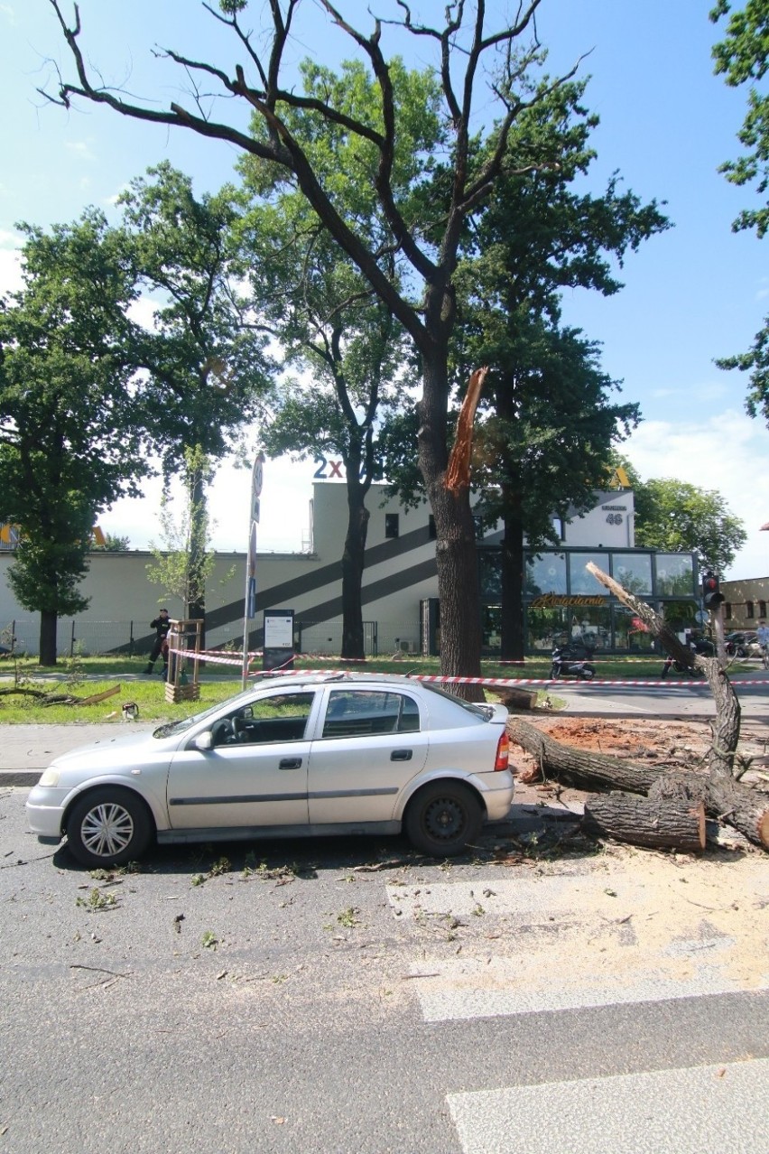 Konar drzewa spadł na jadący samochód na Kromera! [ZDJĘCIA]
