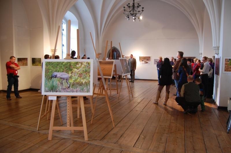 Muzeum zamkowe w Kwidzynie: Wystawa fotografii przyrodniczej Piotra Opaciana zaprasza! [FOTO]