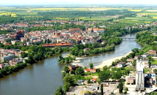 W Brzegu powstanie wybieg dla psów.