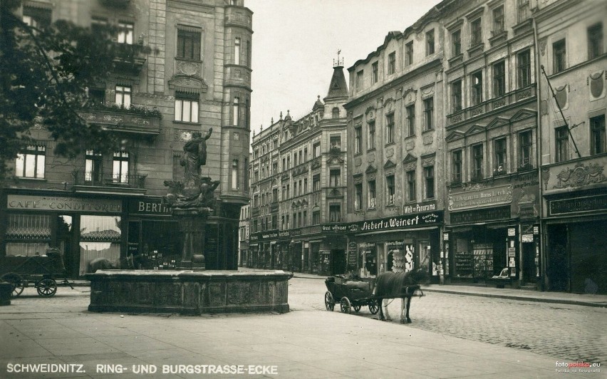 Rynek w Świdnicy