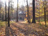 Piękna złota jesień w parku repeckim w Tarnowskich Górach [ZDJĘCIA]