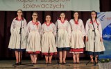 Nadwarciański Festiwal Ludowy. Działoszyn 2018 [ZDJĘCIA]