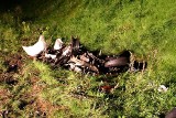Wypadek motocyklisty w Grzywnie na DK 91
