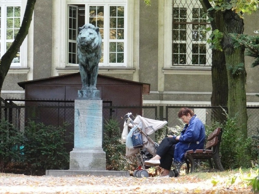 Stare Zoo Poznań