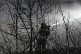 Pożar w Zieleniu w gminie Ryńsk w powiecie wąbrzeskim