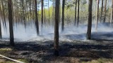 To nie jest odpowiedni czas na ogniska. Grożą nam pożary lasów