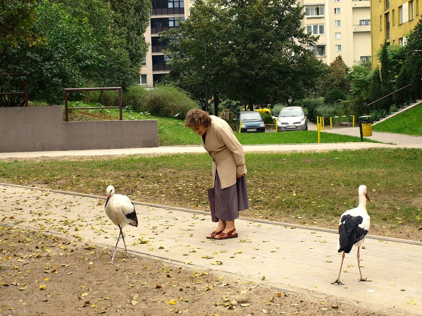 Pani Kruszelnicka z Mazurskiego Parku Krajobrazowego uważa,...