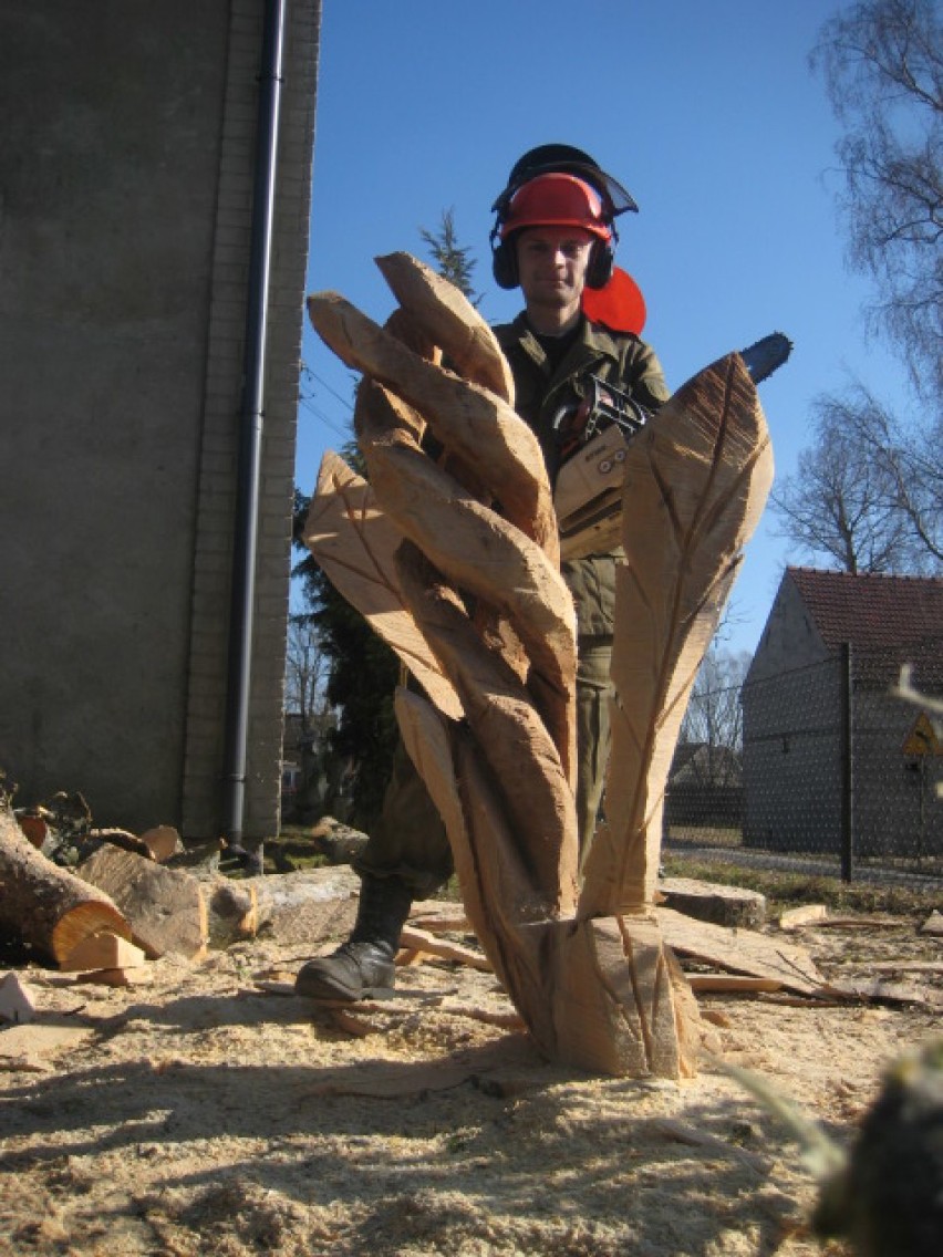 Mieszkaniec Bobrowic tworzy piękne rzeźby z drewna