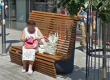 Kamery Google zrobiły im zdjęcia w Sosnowcu! Kogo PRZYŁAPAŁY do tej pory? Nadchodzi aktualizacja Street View 2023!