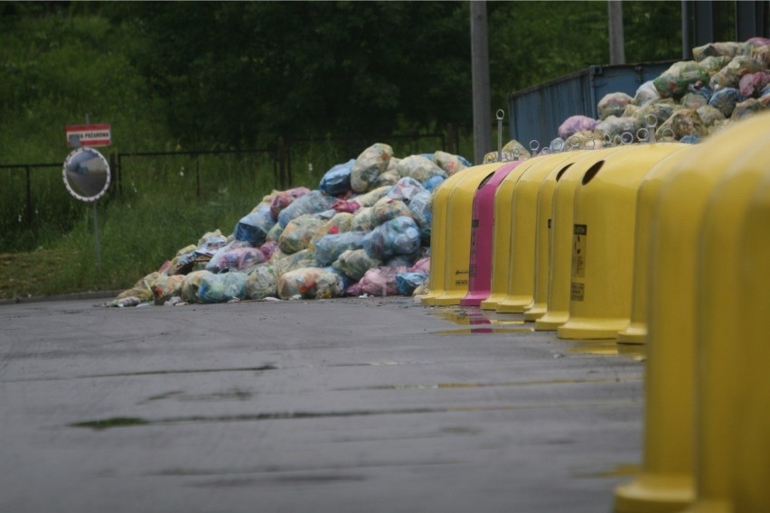 Od 1 lipca wzrośnie opłata śmieciowa w Katowicach