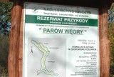 Gościszewo i okolice. Zobacz tu: zabytkowy kościół, rezerwat przyrody i grodzisko