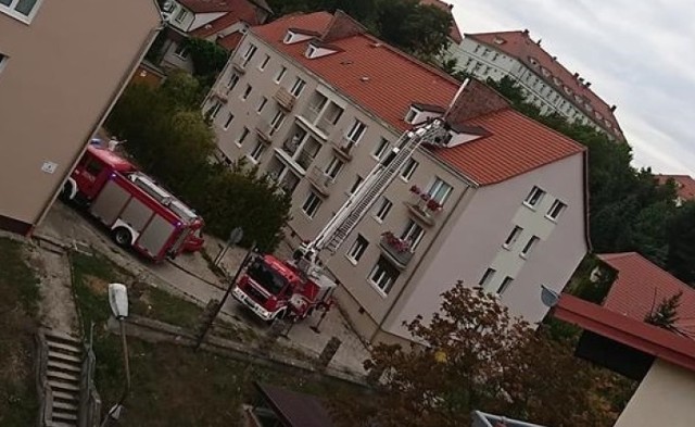 W poniedziałek 10 września tuż przed 15.00 dostaliśmy zgłoszenie od Czytelnika: - Przy ul. Bohater&oacute;w Warszawy jest już straż i policja. Coś się tu dzieje! - przekazał nam i powiedział, że widzi dwa wozy strażackie oraz jeden policyjny.
-&nbsp;Pomagamy policjantom w dostaniu się do mieszkania - przekazał nam dyżurny lubuskich strażak&oacute;w.
-&nbsp;W jednym z mieszkań pomocy potrzebuje mężczyzna, kt&oacute;ry nie może wydostać się z łazienki. Zaczął wzywać pomocy. Uslyszeli to jego sąsiedzi. Zachowali się bardzo dobrze, bo zadzwonili po pomoc. Właśnie pr&oacute;bujemy się dostać do mieszkania - powiedział nam Marcin Maludy, rzecznik lubuskiej policji.

Zobacz r&oacute;wnież: Jechał z dziewięcioletnim synem, zderzyli się z tirem. Obaj zginęli


&lt;b&gt;POLECAMY R&Oacute;WNIEŻ PAŃSTWA UWADZE:&lt;/b&gt;
&lt;a href=&quot;https://gazetalubuska.pl/az-16-kierowcow-stracilo-prawo-jazdy-gdzie-co-takiego-zrobili-na-drodze-ze-konieczne-bylo-odebranie-im-praw-jazdy/ar/13480706&quot;&gt;&lt;h2&gt;&lt;b&gt;Aż 16 kierowc&oacute;w straciło prawo jazdy!&lt;/b&gt;&lt;/h2&gt;&lt;img src=&quot;https://d-pt.ppstatic.pl/kadry/k/r/1/af/ca/5b9636085dc58_o,size,969x565,q,71,h,c44ab4.jpg&quot; width=&quot;100%&quot;&gt;&lt;/a&gt;

&lt;center&gt;&lt;div class=&quot;fb-like-box&quot; data-href=&quot;https://www.facebook.com/gazlub/?fref=ts&quot; data-width=&quot;700&quot; data-show-faces=&quot;true&quot; data-stream=&quot;false&quot; data-header=&quot;true&quot;&gt;&lt;/div&gt;&lt;/center&gt;