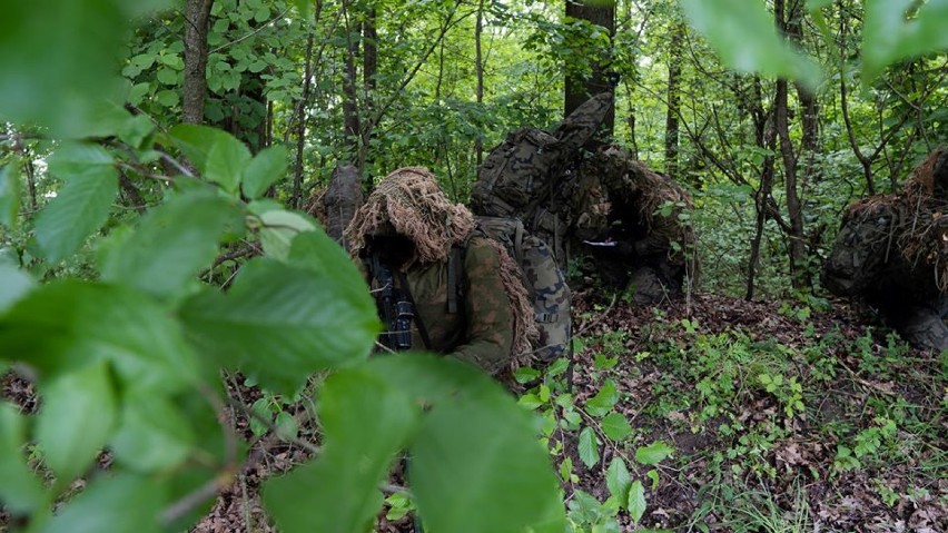 Strzelcy wyborowi trenują w chełmskim lesie - zobacz zdjęcia
