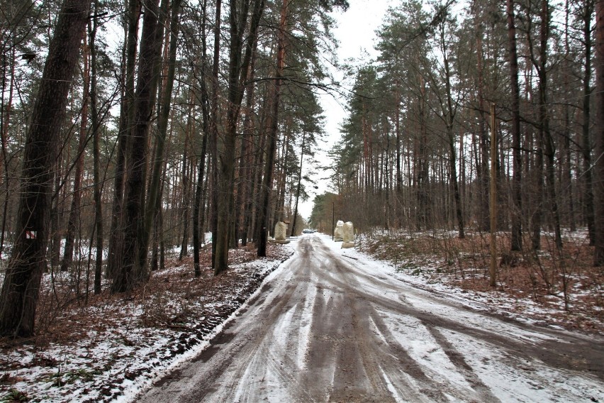 Tomaszowska Siwa Dolina