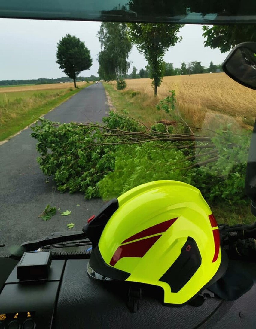 Strażacy z OSP powiatu rypińskiego podsumowują skutki lipcowych nawałnic