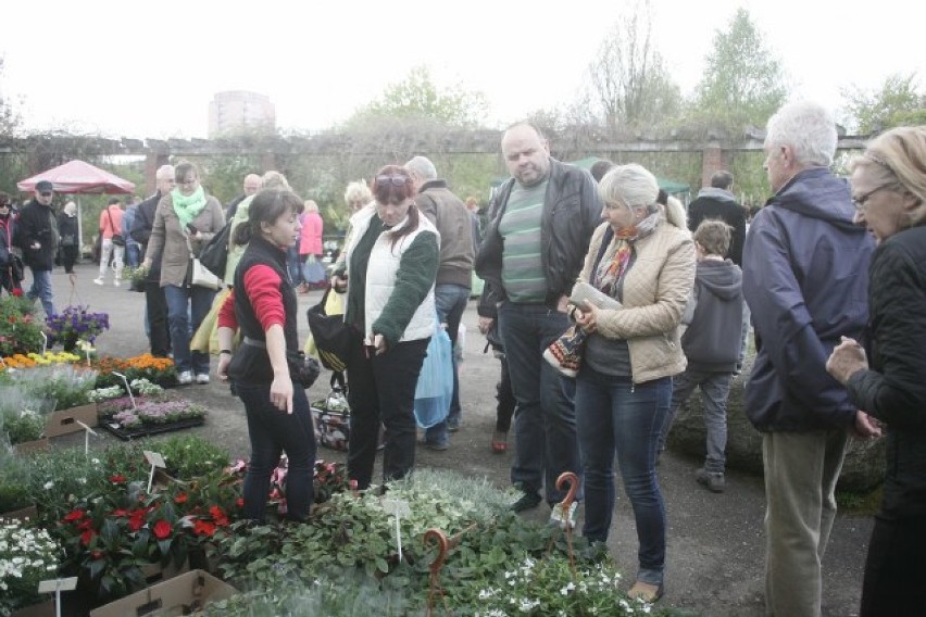 Kiermasz roślin i zwiedzanie Ogrodu Botanicznego