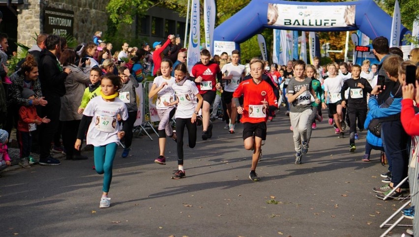 Wild Run 2019 we wrocławskim zoo