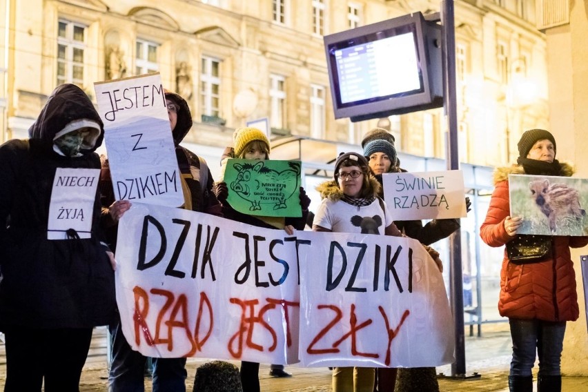 Bydgoski Ruch Antyłowiecki zorganizował protest, aby wyrazić...