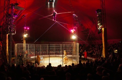 Największe cyrkowe show w kraju - teraz w Szczytnie