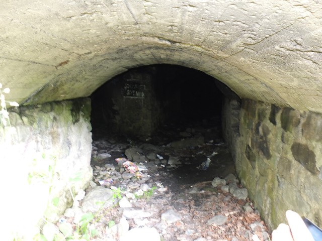 W lesie można znaleźć liczne wejścia do podziemi. Wśród okolicznych mieszkańców krążą m.in. opowieści o tunelu łączącym osiedle Antonówka z dworcem kolejowym z Kamiennej Górze.