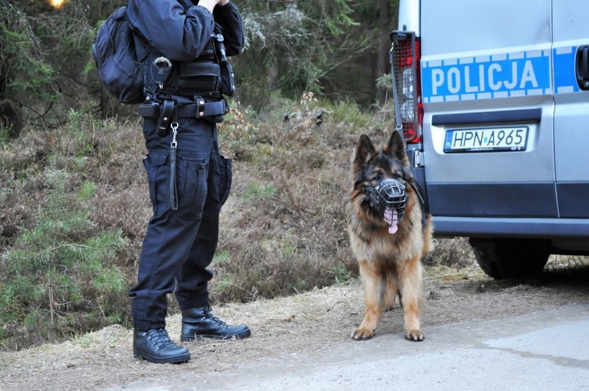 Bytów. Policjanci ze strażnikami leśnymi szukali dwóch zaginionych. Mieli broń! (FOTO)