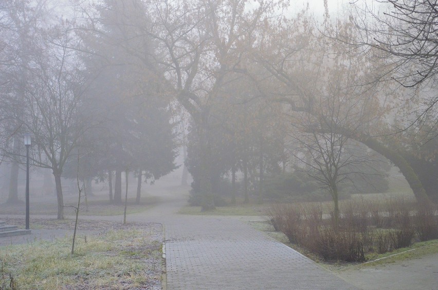 Głogów we mgle. Tak wyglądało miasto o poranku. ZOBACZ ZDJĘCIA