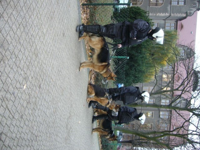 Marszu Równości pilnowali policjanci z psami... Fot. Maksymilian Szczepaniak