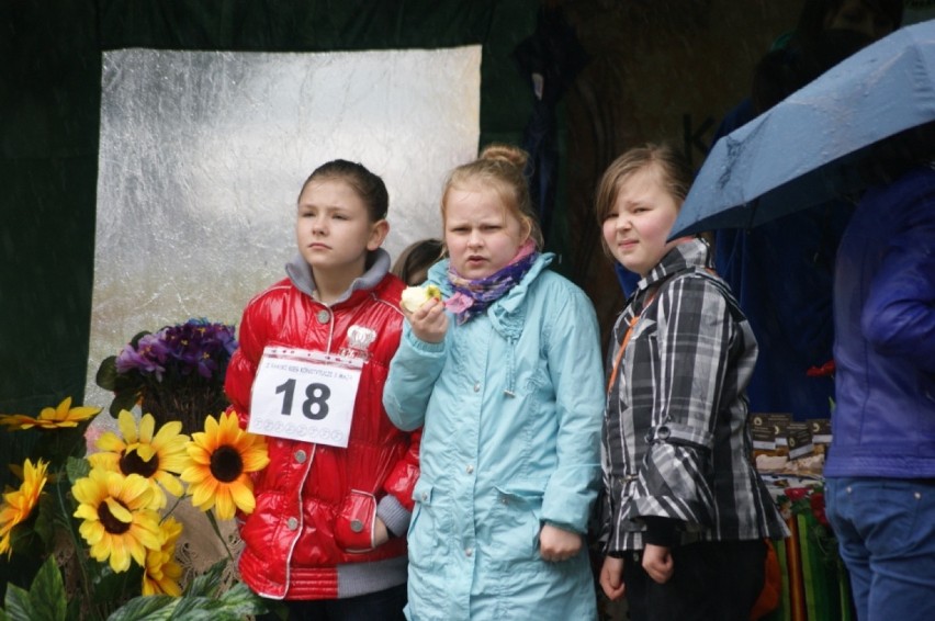 Festyn 3 maja 2014 "Radosne święto" w Rawie Mazowieckiej