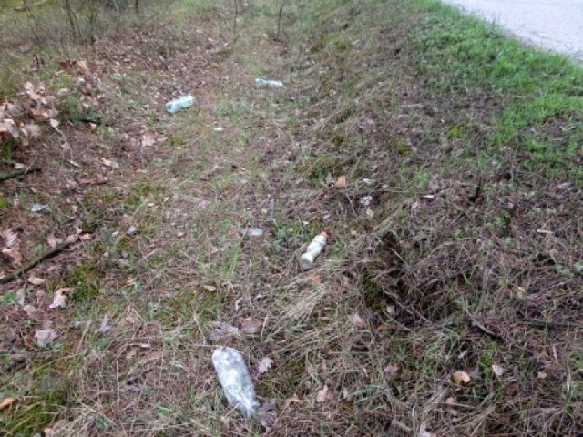 To zdjęcie ze strony internetowej LKS Zantyr, przedstawia odpadki zalegające przy drodze do Uśnic